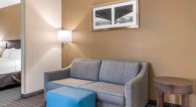 Двухместный люкс Comfort Inn & Suites Cincinnati Uptown Clifton