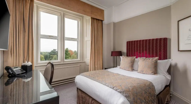 Одноместный номер Standard Hartsfield Manor