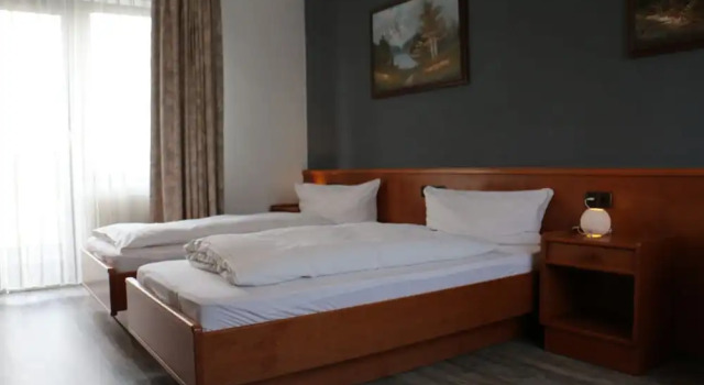 Двухместный номер Standard Hotel Alt Steinbach