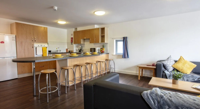 Апартаменты Economy Seabraes Apartments and Rooms
