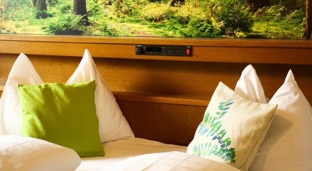 Двухместный номер Standard Guesthouse Pension Grafenstein