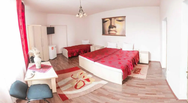 Номер Standard Pensiunea Brici