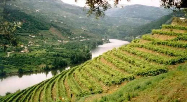Коттедж Douro House