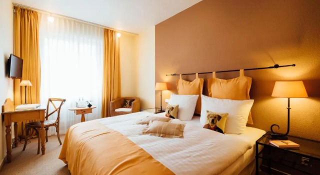 Двухместный номер Standard Hotel zur Mühle