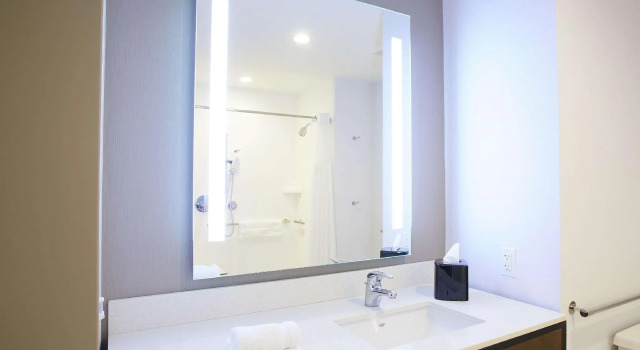 Двухместный номер Standard Hilton Garden Inn Elizabethtown
