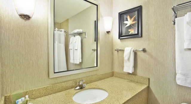 Номер Premium Holiday Inn & Suites Green Bay Stadium by IHG