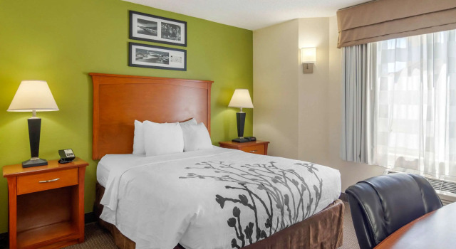 Standard- dobbelt værelse Sleep Inn North