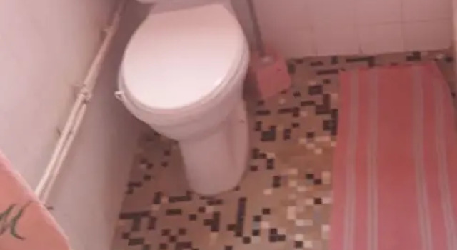 Standard quarto ASAO
