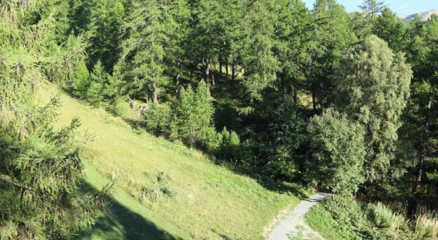 Appartement Les Orres, 1 pièce, 4 personnes - FR-1-322-229