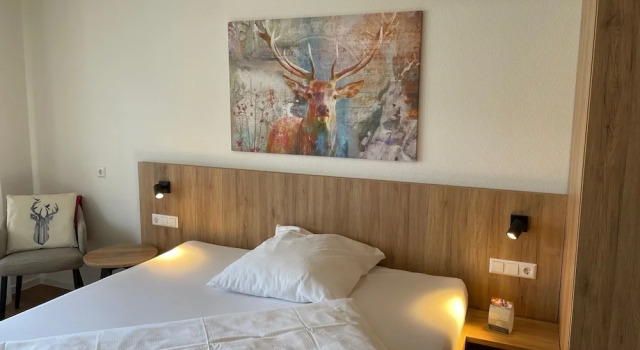 Двухместный номер Comfort Gasthaus Hirschenstube & Gästehaus Gehri