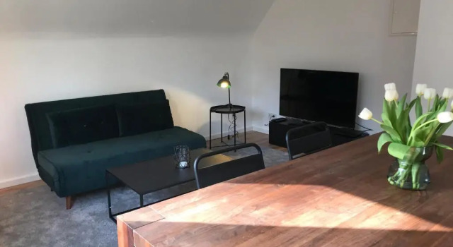 Апартаменты Apartment Frankfurt, top renoviert, 65qm DG