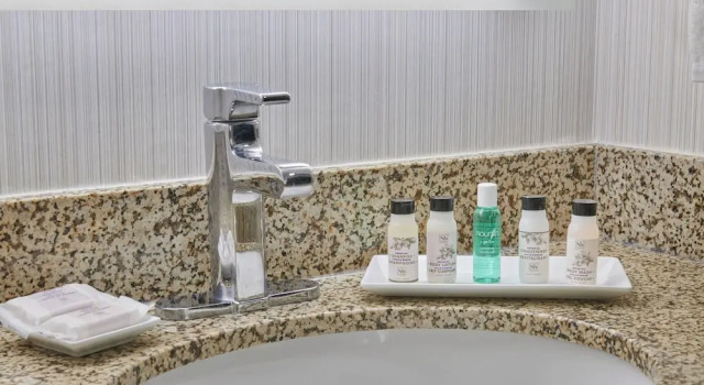 Люкс c 1 комнатой Delta Hotels by Marriott Detroit Novi