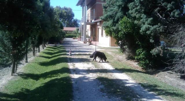 Одноместный номер Standard Il Gelsomino Bio Agriturismo
