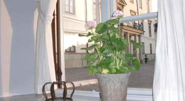 Номер Superior Rosersbergs Slottshotell