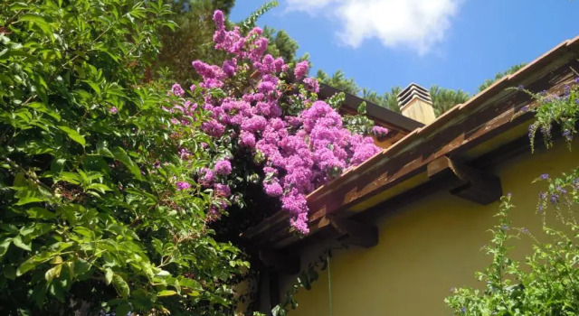 Номер Standard Casa Vacanze Vigna di Valle