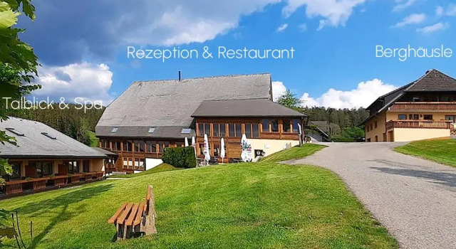 Номер Comfort Hotel ThälerHäusle mit Schwimmbad