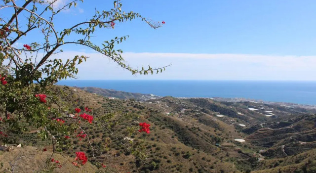 Villa Tranquila - Costa del Sol - Great Seaview - Priv Pool - 3 bed, Book Villa Hoteller i Torrox Costa med pool, Swimmingpool