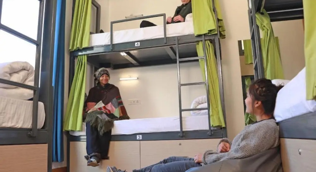 Кровать в общем номере The Blue Jay Hostel