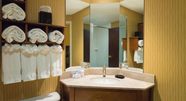 Четырёхместный семейный люкс Hotel Carlisle