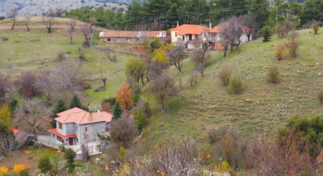 Люкс Standard Aiora Guesthouse