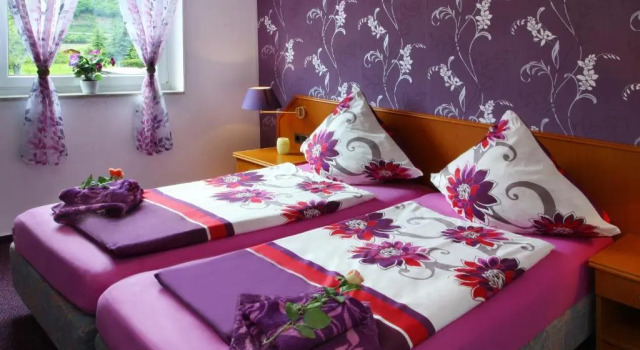 Двухместный номер Standard Hotel im Rheintal
