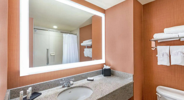 Номер Standard Embassy Suites by Hilton Saint Louis Saint Charles