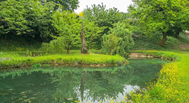 Коттедж Lake & Country Holidays