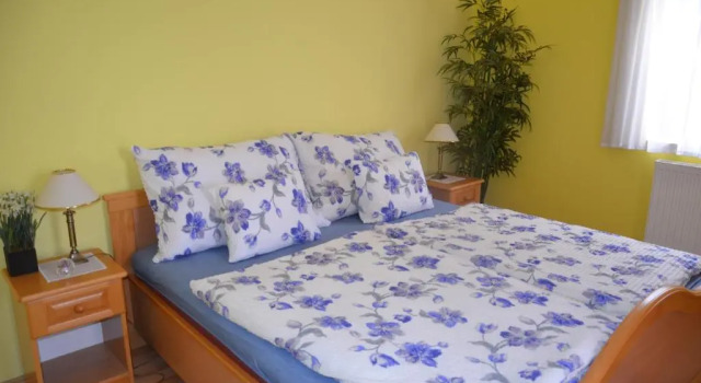 Апартаменты Boutique Villa Zala