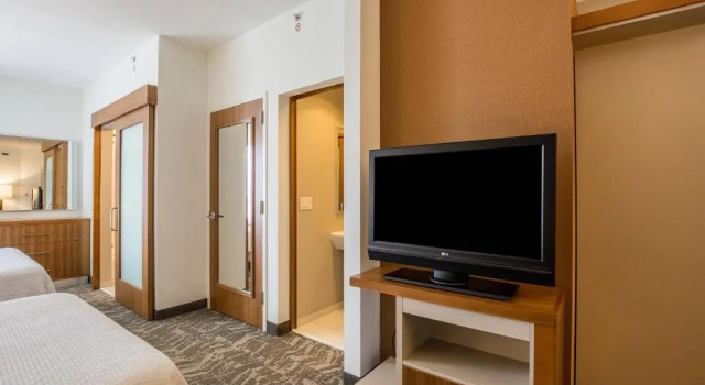 Люкс SpringHill Suites by Marriott Houston Rosenberg