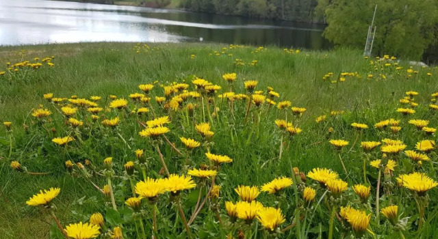 Апартаменты Apartments "Ecohouse" nearby Håverud Dalsland Sweden
