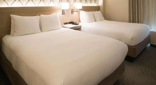 Четырёхместный номер Standard Radisson Hotel Duluth-Harborview