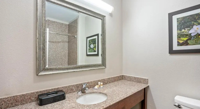 Двухместный номер Executive La Quinta by Wyndham Houston - Magnolia