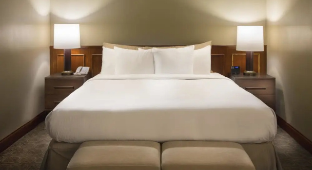 Двухместный люкс Presidential DoubleTree by Hilton Chicago - Oak Brook
