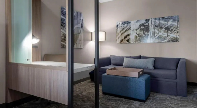 Люкс SpringHill Suites by Marriott Charlotte Huntersville