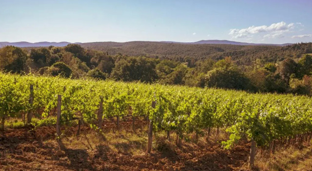Апартаменты Borgo Villa Certano - Case Vacanza in Toscana