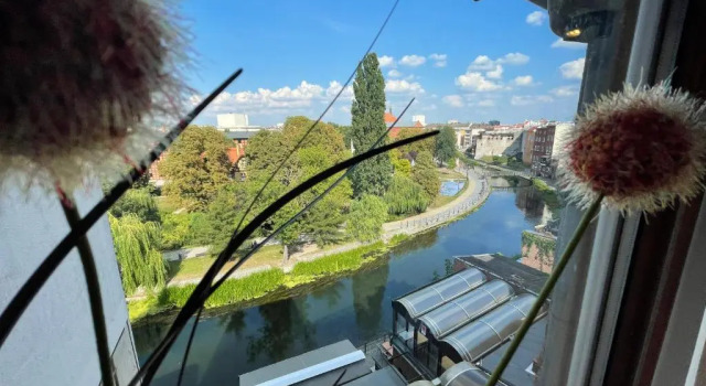 Двухместная студия Deluxe Kamienica Poznańska 7