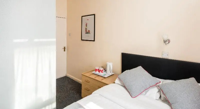 Одноместный номер Standard OYO New Dome Hotel