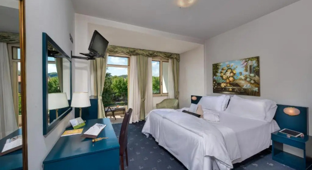 Двухместный номер Standard Hotel Terme Olympia