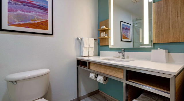 Четырёхместный люкс Hilton Garden Inn Tampa Northwest/Oldsmar