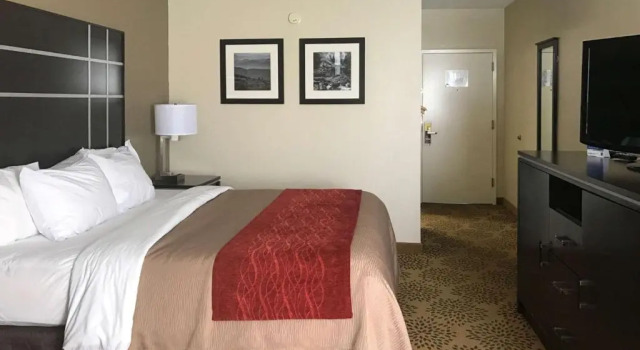 Номер Standard Comfort Inn North of Asheville