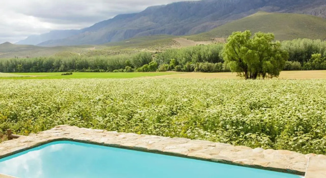 Люкс Deluxe Blue Lily Retreat