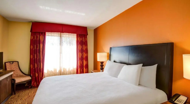 Двухместный номер Mobility Accessible with Bathtub Hilton Garden Inn Tampa Ybor Historic District