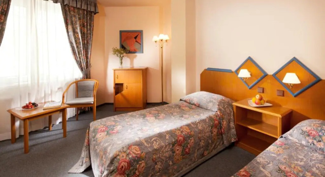 Двухместный номер Standard Hotel Concertino Zlatá Husa