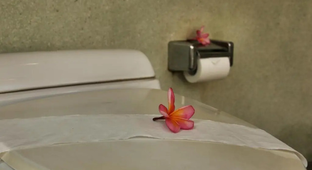 Полулюкс The Sanyas Suite Bali