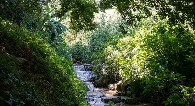 Номер Standard Africas Eden Guesthouse