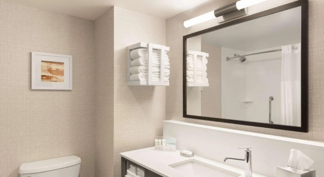 Четырёхместный номер Standard Hampton Inn & Suites St Charles Old Town Area, Mo