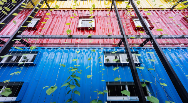 Кровать в общем номере (женский номер) Ccasa Hostel