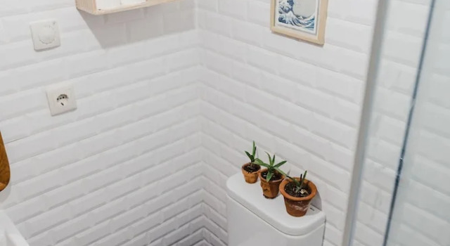 Bett im Wohnheim Jaca Hostel Porto da Cruz
