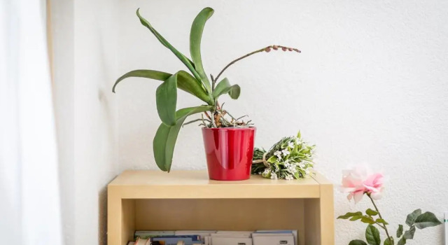Номер Standard MyBednBreakfast in Bottmingen