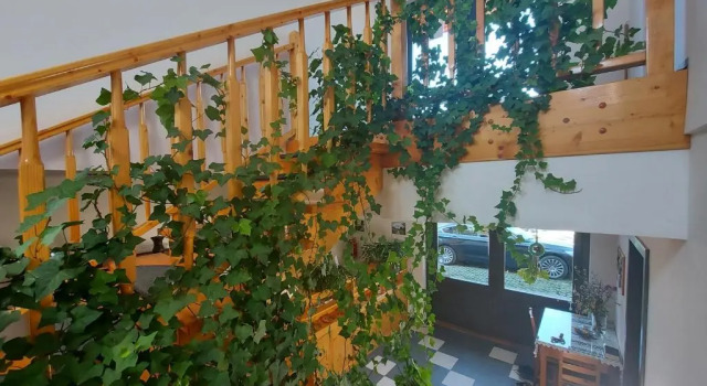 Pensiunea Keisd, Prenota Hotel Saschiz Mureş